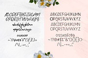 Beauty Salon Modern Font Duo, a Script Font by YandiDesigns (Thumbnail 2 of 6)