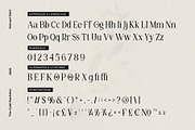 The Gold Bachelor Modern Serif Font, a Serif Font by Heinzel Std (Thumbnail 10 of 17)