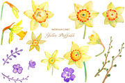 Watercolor Clipart Yellow Daffodils, an Illustration by Corner Croft (Thumbnail 1 of 2)