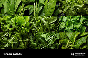 Green Salads. 47 images, a Food & Drink Photo by Handmadefont (Thumbnail 8 of 12)