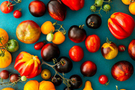 Tomatoes on an emerald background, a Food & Drink Photo by Pandateam