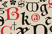 Carolingian Minuscul font, a Blackletter Font by kaer_shop (Thumbnail 4 of 9)