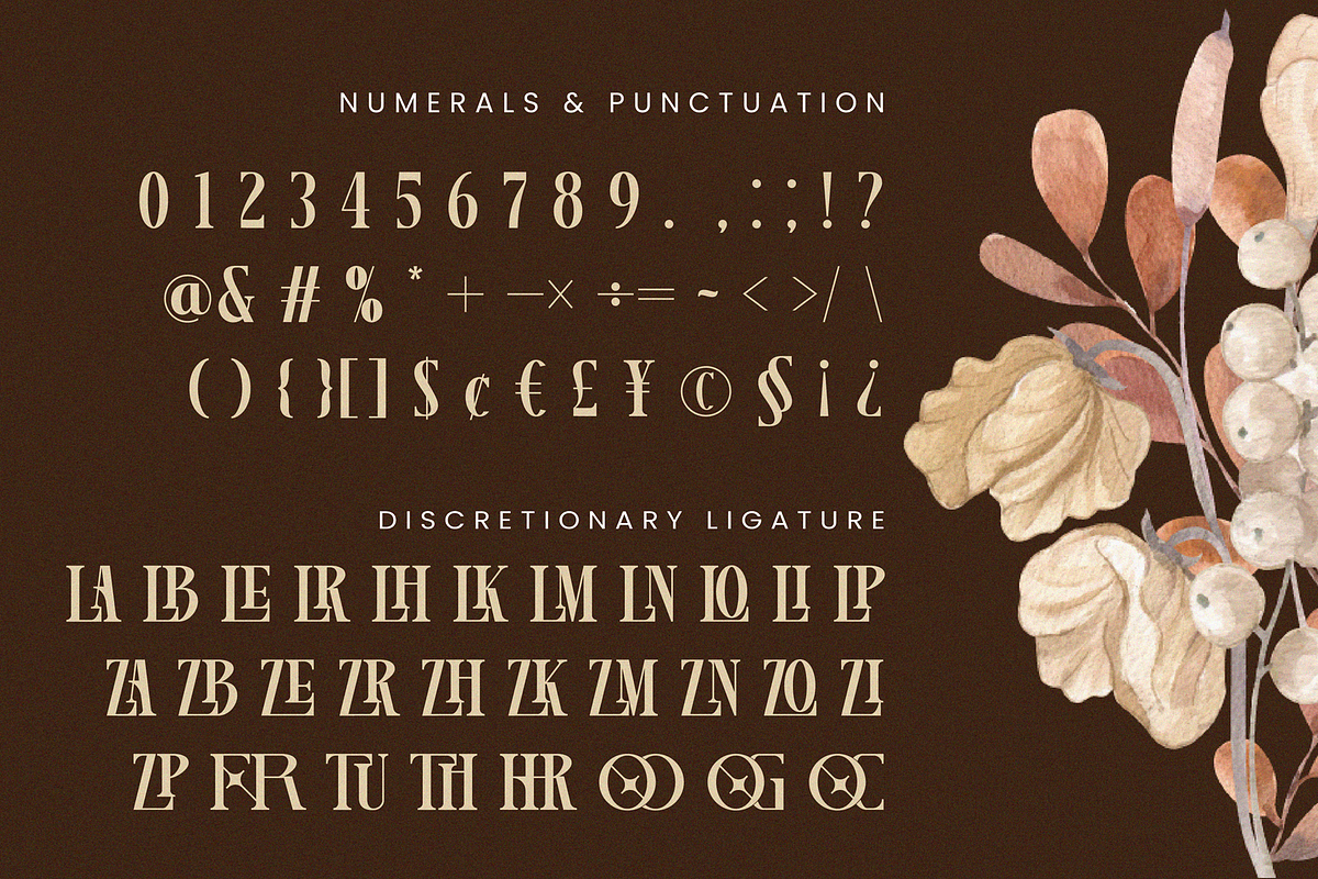 Lamoonze - Serif Display Font, a Serif Font by Randi Irvan | Rvandtype (Photo 13 of 14)