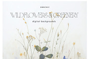 Wildflowers & Greenery Backgrounds, a Background Graphic by Anna Sokol (Thumbnail 2 of 12)