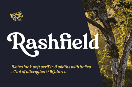 Rashfield • SALE, a Serif Font by Vintage Voyage Supply