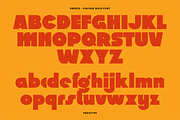 Swedis - Vintage Bold Font, a Sans Serif Font by Pekotype (Thumbnail 8 of 16)
