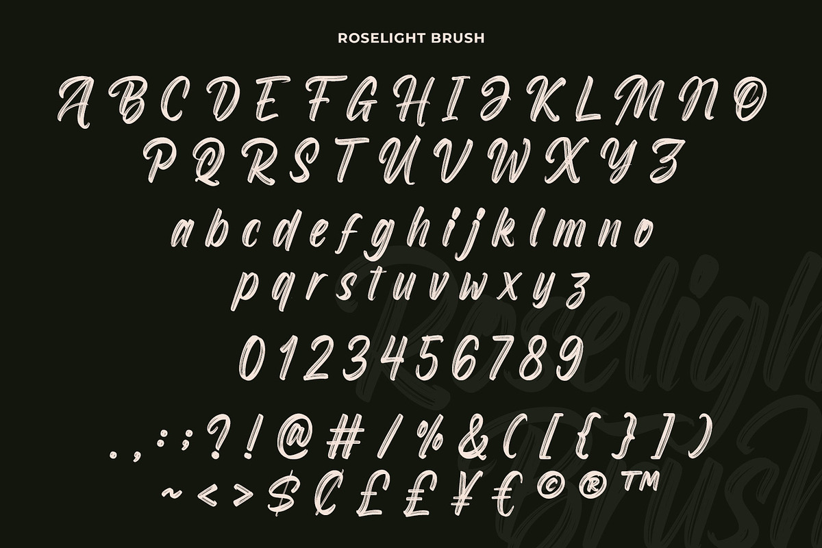 Roselight Brush, a Script Font by din-studio.com (Photo 9 of 16)