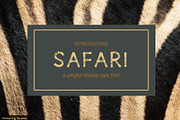 Safari Playful Display Font Typeface, a Sans Serif Font by Porter Fig (Thumbnail 1 of 7)