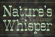 Vilkey Vintage, a Serif Font by Craft Supply Co. (Thumbnail 7 of 8)