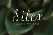 Silex Modern calligraphy, a Script Font by LABFcreations (Thumbnail 2 of 6)