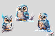 Cute Winter Owls Clipart Sublimation, an Animal Illustration by EdeniaArtStudio (Thumbnail 3 of 6)
