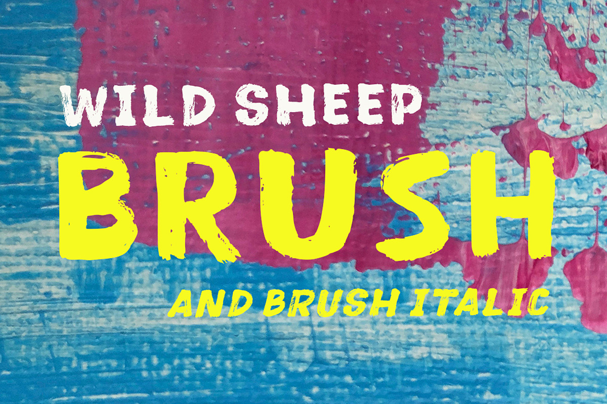 Wild Sheep, a Script Font by Stripes Studio (Photo 6 of 7)