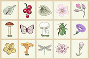 Enchanted Garden Collection, an Illustration by YvY (Thumbnail 3 of 7)