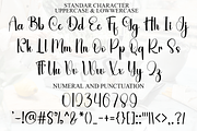 Cherry Christmas, a Handwritten Font by InermediaSTUDIO (Thumbnail 5 of 8)