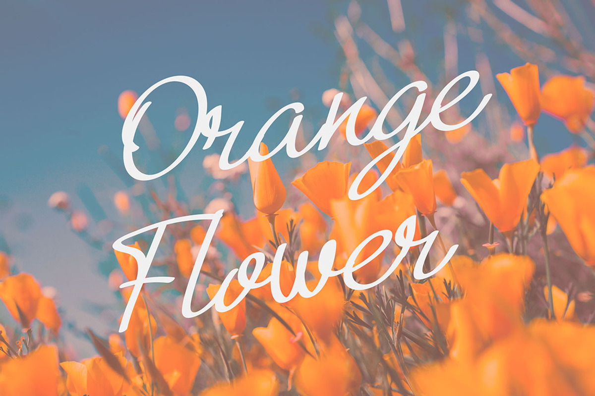 Rinasari - Handwritten Script Font, a Script Font by Morisco (Photo 3 of 6)
