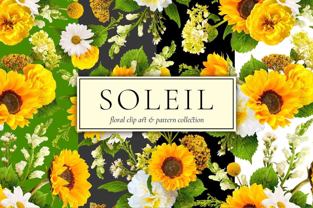 Soleil Floral Patterns & Clip Art, an Object Graphic by Eclectic Anthology (Photo 2 of 13)
