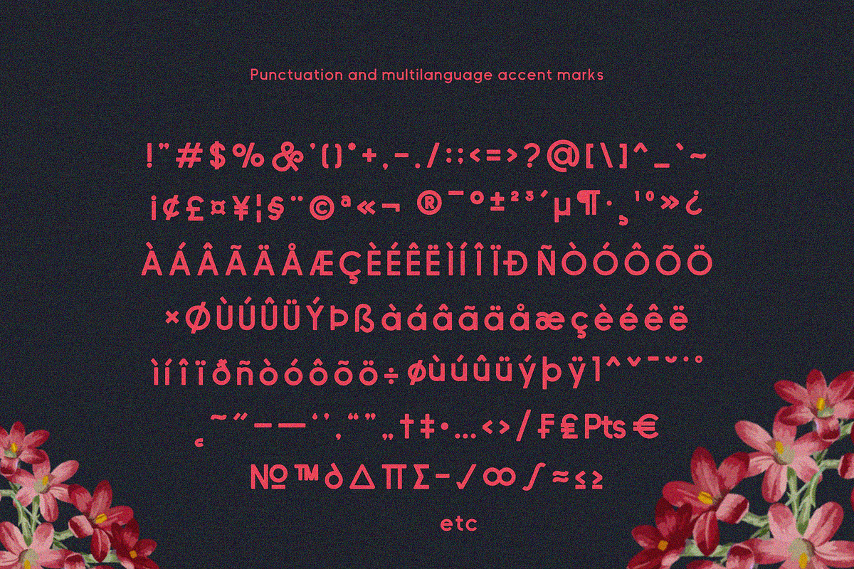 Bilage, a Sans Serif Font by 160 Studio (Photo 13 of 15)