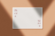 Ptera: All-in-One Poster Mockup Kit, a Print Template by Eugene Tantsurin (Thumbnail 4 of 15)