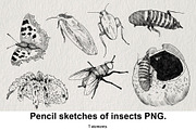 Pencil sketches of insects PNG., an Animal Illustration by LOKSKIH (Thumbnail 1 of 5)