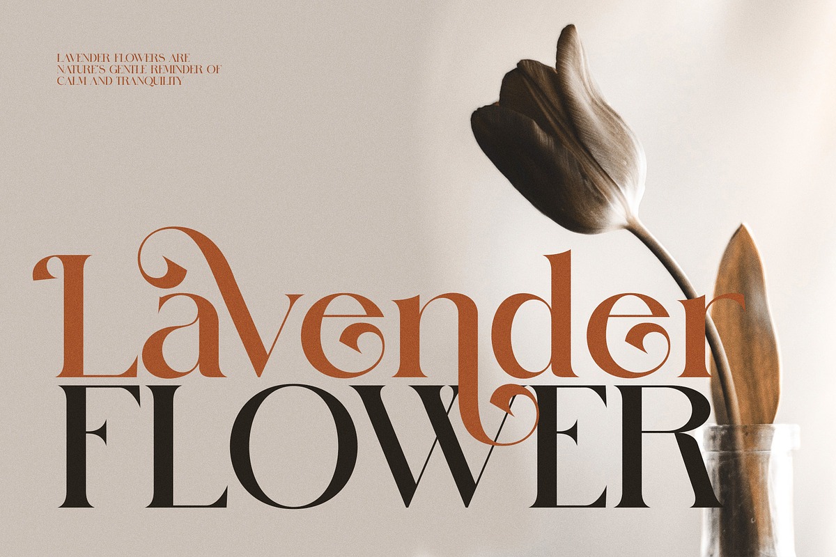 Sintta Elegant Serif Font, a Serif Font by Perfectype (Photo 5 of 8)