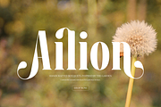 Pany Anemov | Modern Display Serif, a Font by Denustudios (Thumbnail 7 of 15)