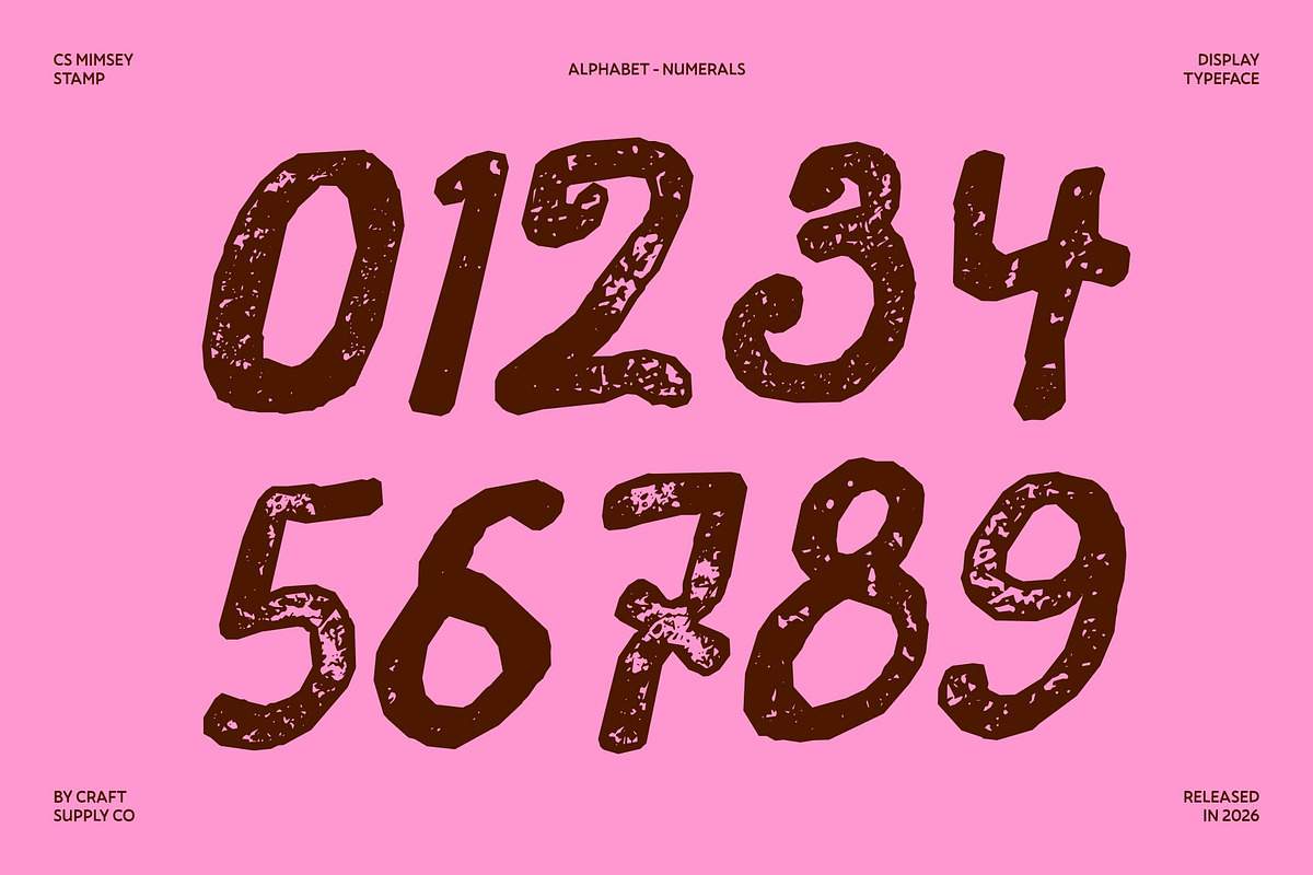 CS Mimsey Stamp, a Handwritten Font by Craft Supply Co. (Photo 6 of 8)