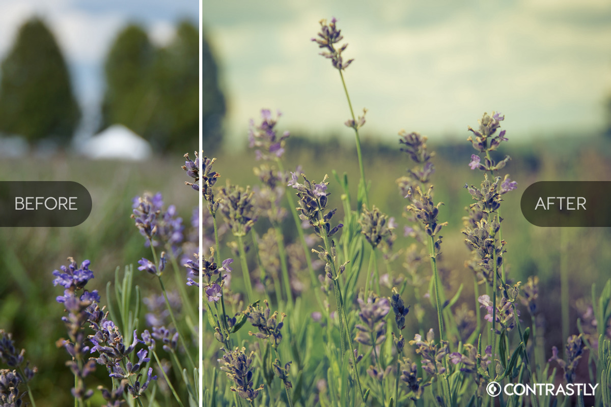 Matte & Pastel Lightroom Presets, an Action Add-On by Contrastly Shop (Photo 2 of 5)