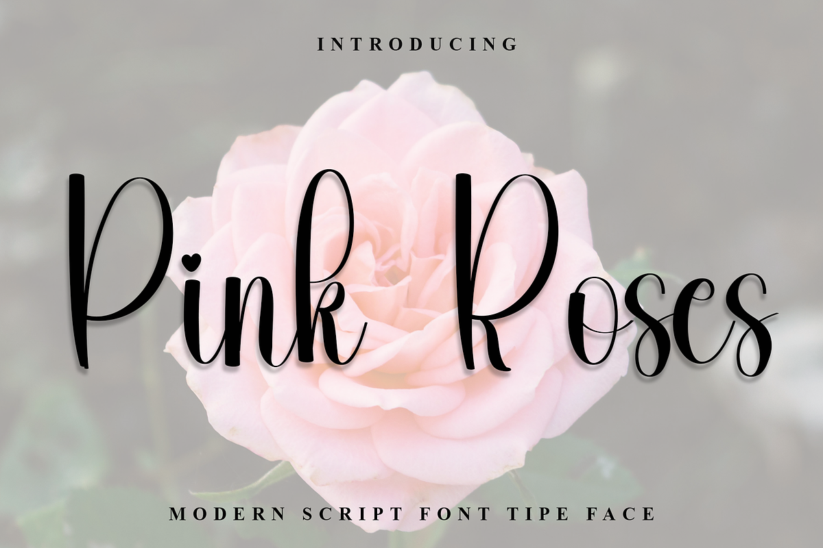 Pink Roses, a Handwritten Font by InermediaSTUDIO (Photo 1 of 8)