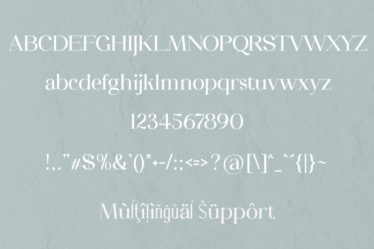 Camellia Serif Font, a Serif Font by Mayofont (Photo 5 of 5)
