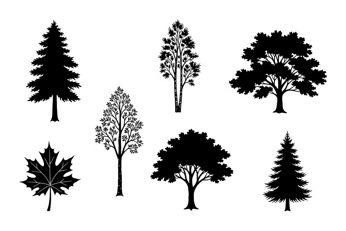 Woodland & Forest Tree Silhouettes B, an Illustration by jahid234 (Photo 14 of 41)