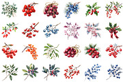 Watercolor Winter Berry Christmas Se, an Illustration by Sublimation Artist (Thumbnail 2 of 6)