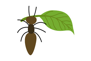 Vector image of a cute, an Animal Illustration by Things for designers