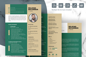 IT Manager Resume Template