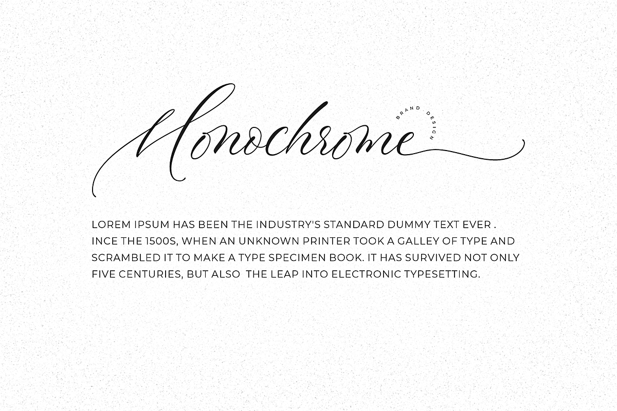 Multiverse – Luxurious Script Font, a Script Font by RedyStudio (Photo 11 of 15)