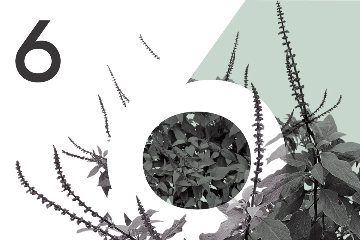 Plant Brushes v2, a Brush Add-On by envirographic (Photo 4 of 5)