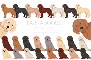 Labradoodle Clipart