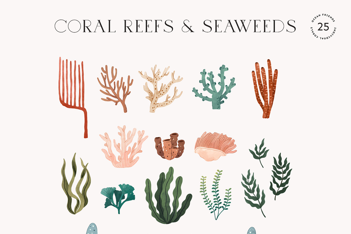 Ocean Animals: colored & outline, a Pattern Graphic by imajineko (Photo 8 of 12)
