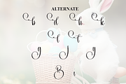 Bunnyish | Script Font, a Handwritten Font by Scratchones (Thumbnail 8 of 9)