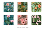 Cactus Flower Retro Art Designs, a Pattern Graphic by karenfoleyphoto (Thumbnail 10 of 18)
