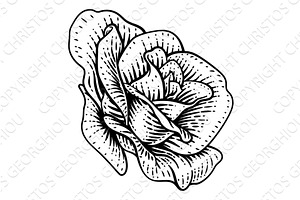 Rose Flower Design Woodcut Vintage, an Illustration by Christos Georghiou