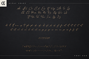 Alpas & Snarf font duo, a Font by Only Fonts (Thumbnail 9 of 11)