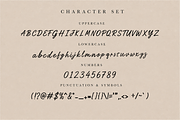 Midnight Confession - Script Font, a Script Font by overlaytemplates (Thumbnail 4 of 5)