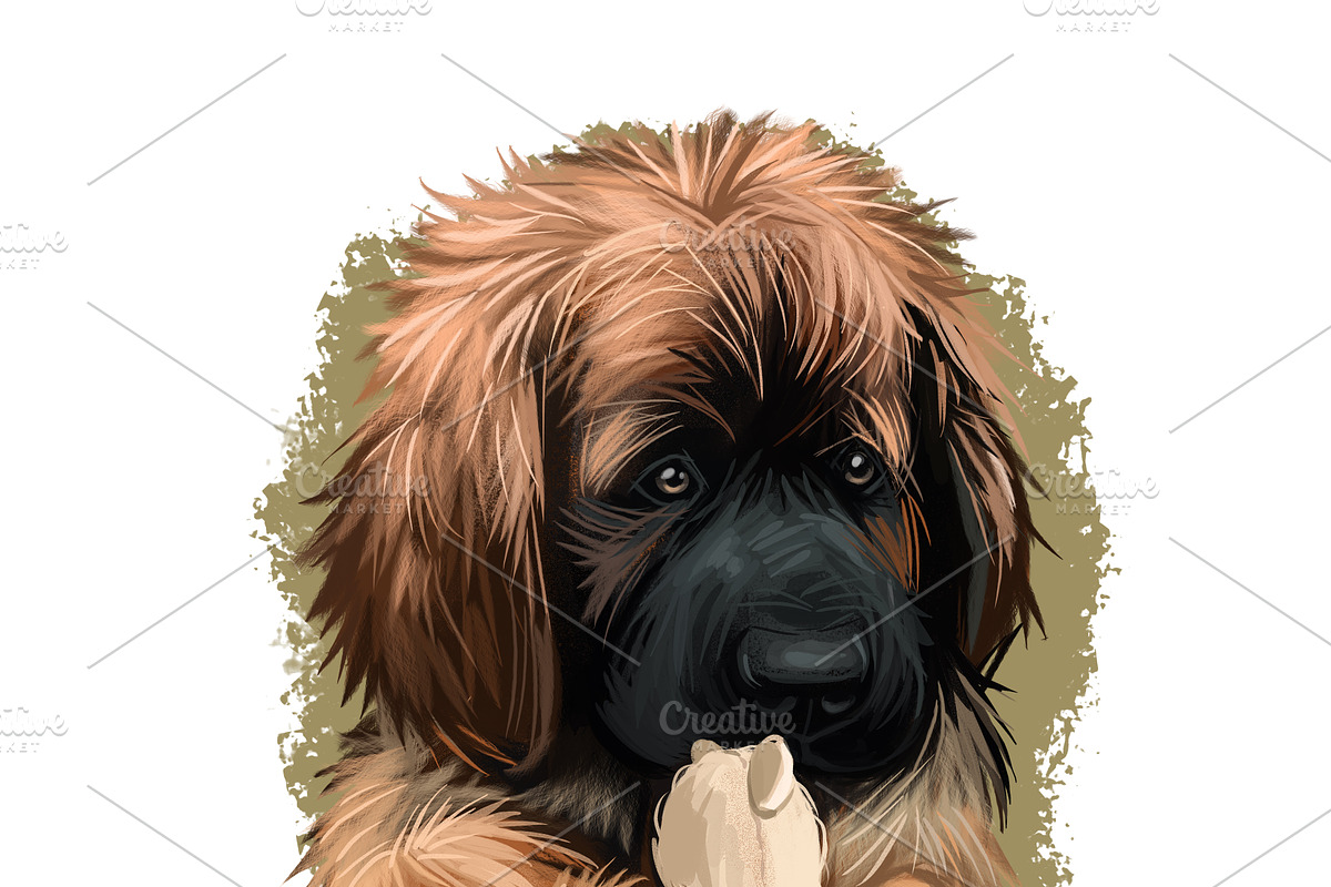 Puppies Dog Breeds Big Bundle 135Pcs, an Animal Illustration by Dneprstock (Photo 39 of 68)