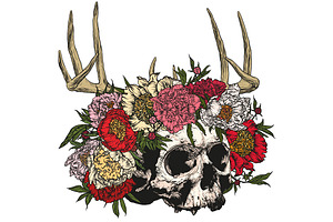 Skull