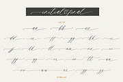 Saint Viet | Calligraphy Font, a Script Font by Calamar Studio (Thumbnail 27 of 29)