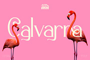 Calvarra - Modern Serif Font, a Serif Font by Rishsketch (Thumbnail 1 of 14)