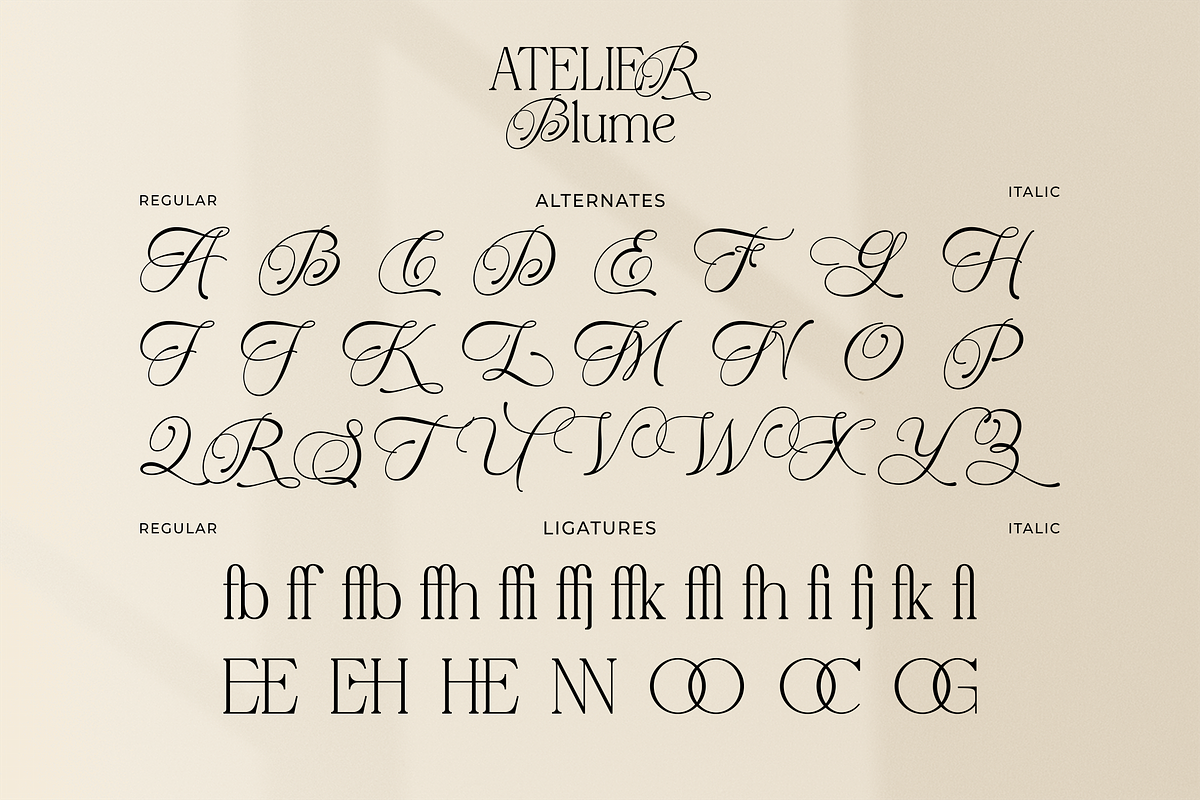 Atelier Blume - Serif & Script Font, a Script Font by agnyhasyastudio (Photo 14 of 17)