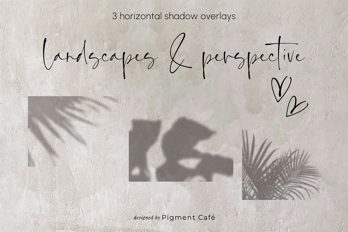 Leafy Botanical Shadow Overlays, a Background Graphic by Pigment Café (Photo 7 of 8)