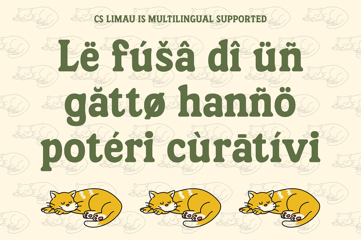 CS Limau – Bold Font, a Serif Font by Craft Supply Co. (Photo 5 of 8)