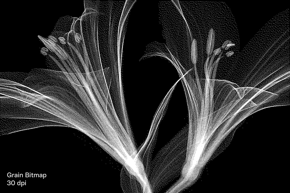 04: Bitmap Machine for Photoshop, an Action Add-On by Eugene Tantsurin (Photo 8 of 12)